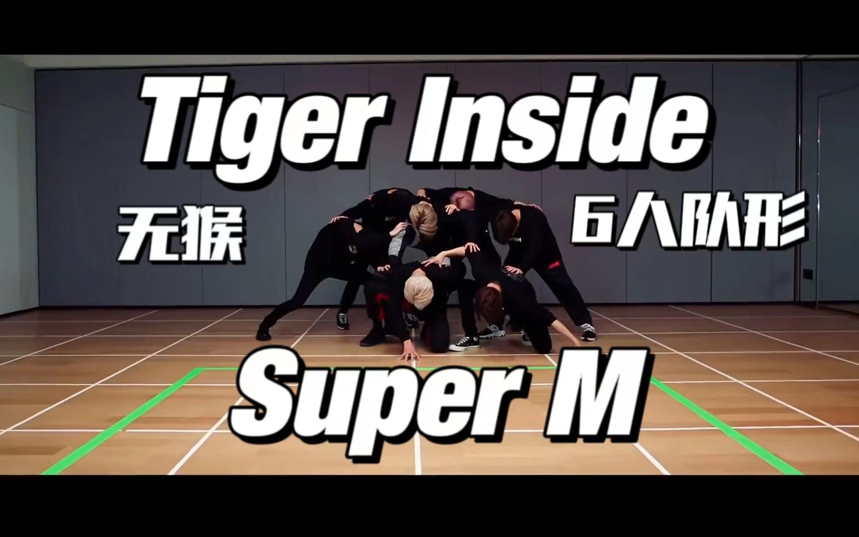 supermtigerinside6人队形无猴版