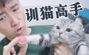 Download Video: 6小时教会了猫捡球！以后请叫我训猫高手 我家猫实在太聪明了！