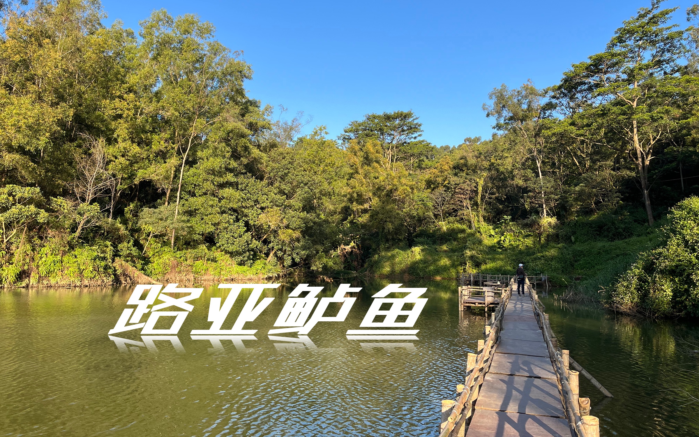 东莞塘厦白鹤湖路亚鲈鱼