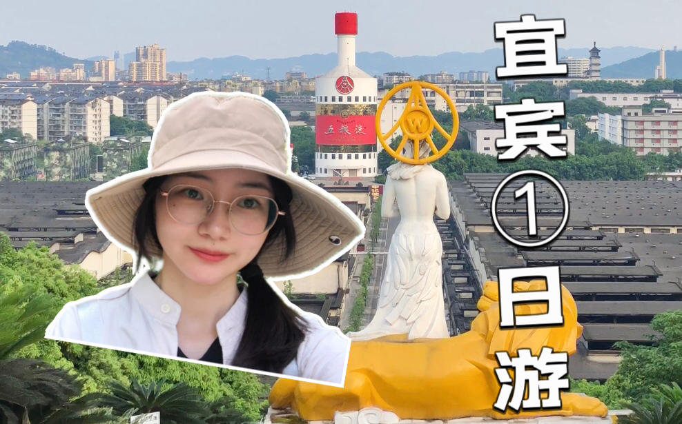 四川宜宾一日游Vlog,打开我的宝藏小城旅游清单哔哩哔哩bilibili