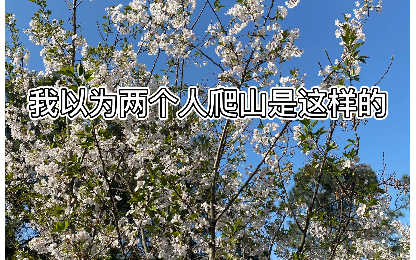 [图]子曾经曰过，爬山就好好爬山，别整那些虚的