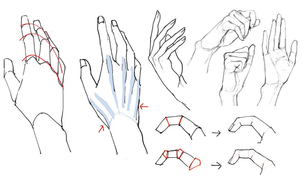 【绘画教程】告别鸡爪画法!零基础手部教学(附讲解)哔哩哔哩bilibili