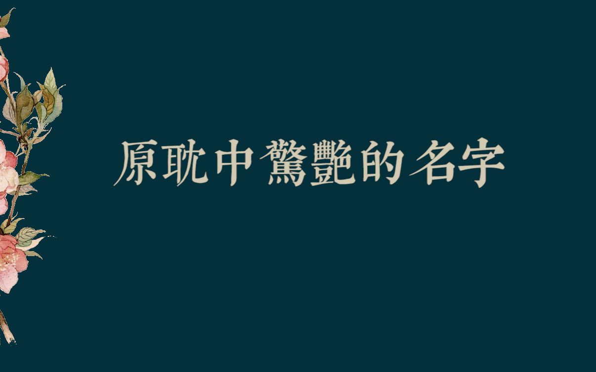 【烟花集】原耽中惊艳的名字哔哩哔哩bilibili