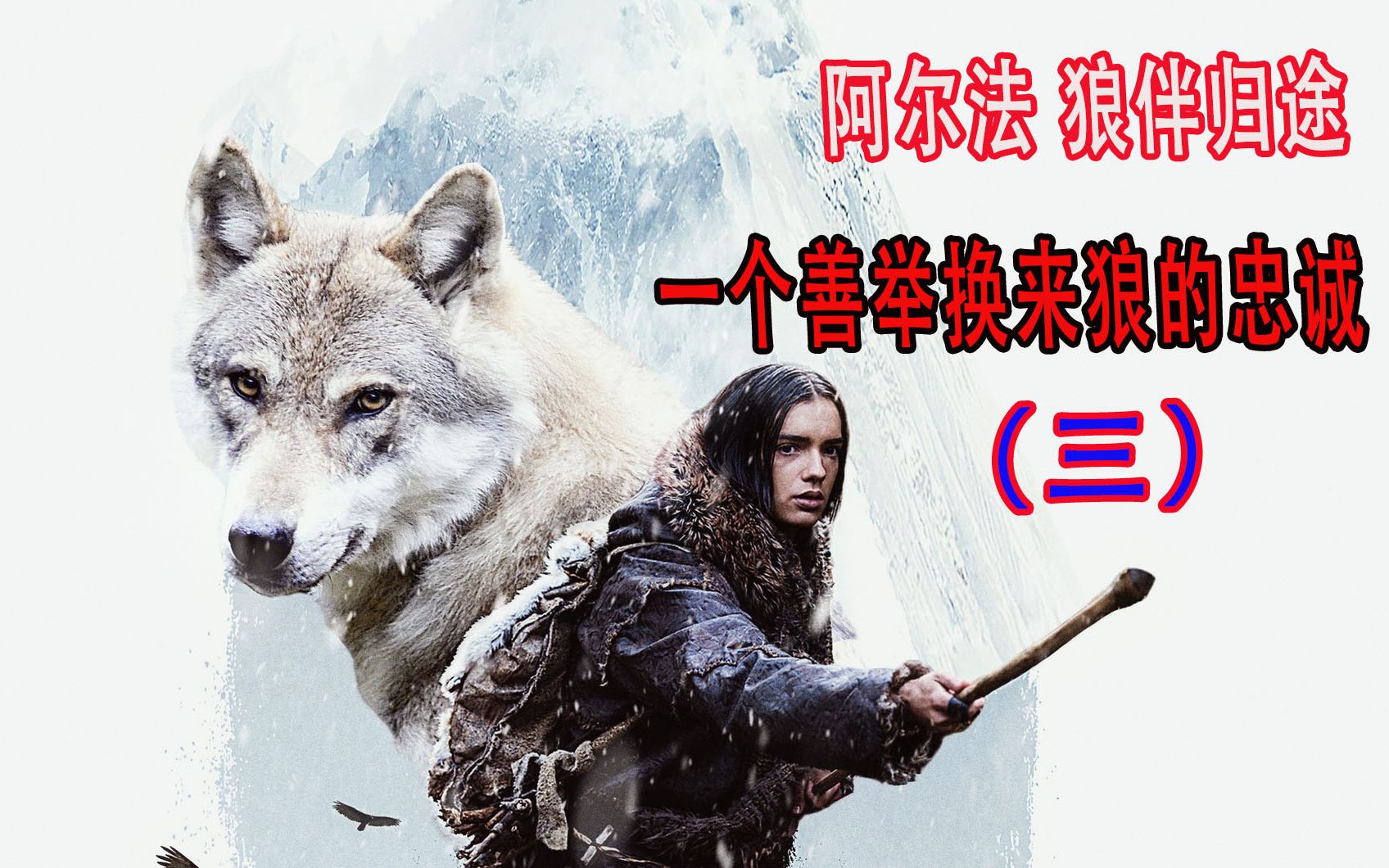 剧情冒险电影《阿尔法 狼伴归途》狩猎少年跌入涯中,靠着本能的求生欲