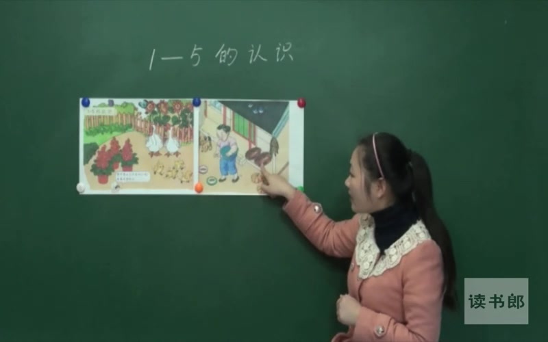 【小学数学】一年级上教学视频哔哩哔哩bilibili