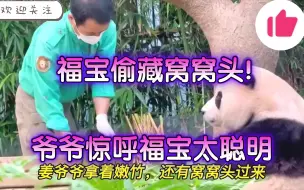 Télécharger la video: 福宝自己藏了一个窝窝头吃，姜爷爷看到惊呆孙女那么聪明！