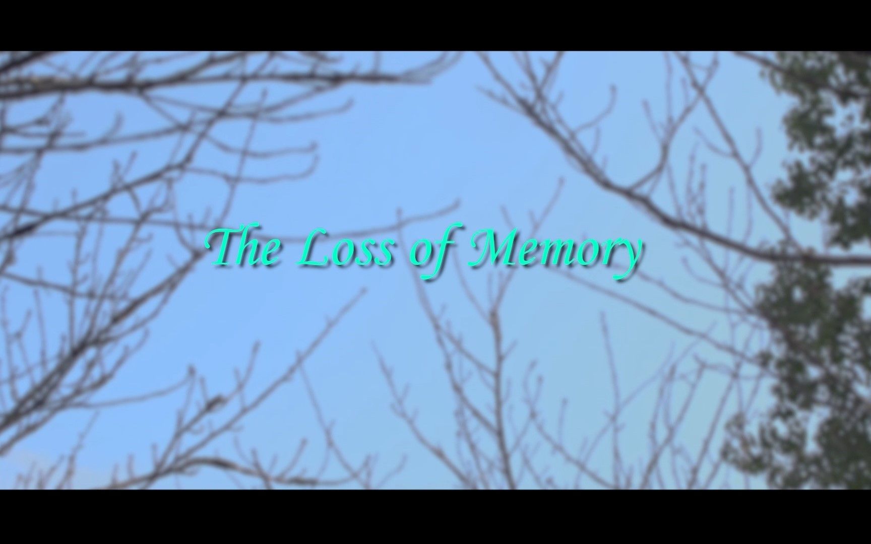 [图]The Loss of Memory