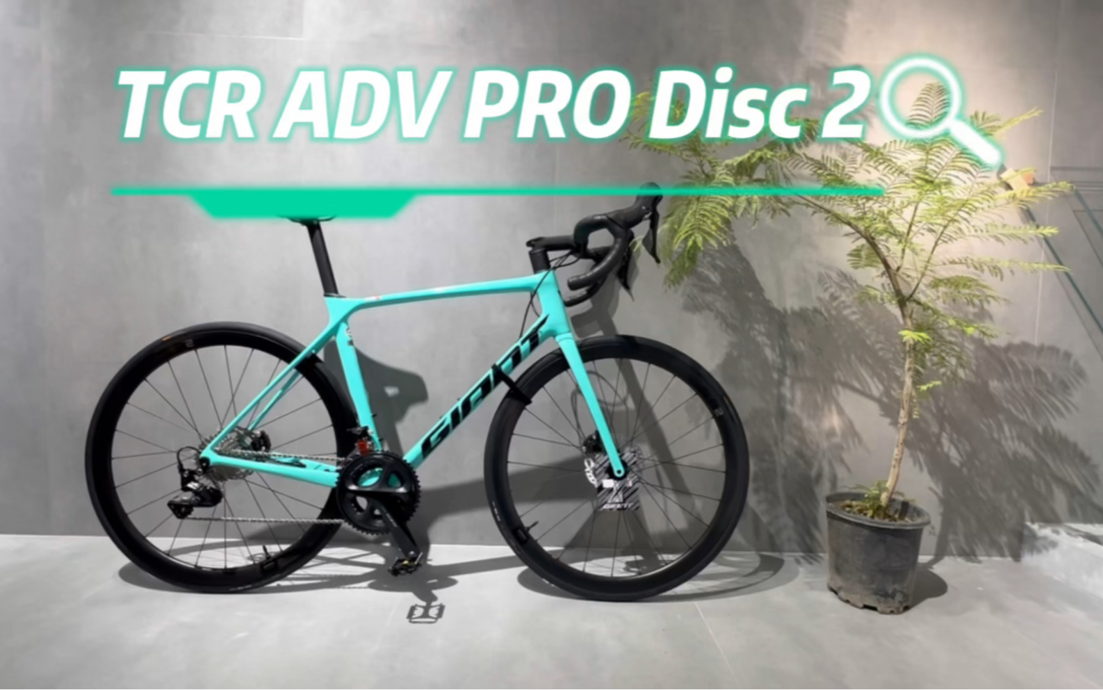 遇事不决tcr,捷安特高性价比公路车,tcr adv pro d