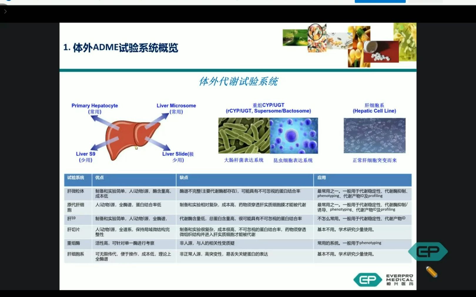 药物代谢动力学哔哩哔哩bilibili