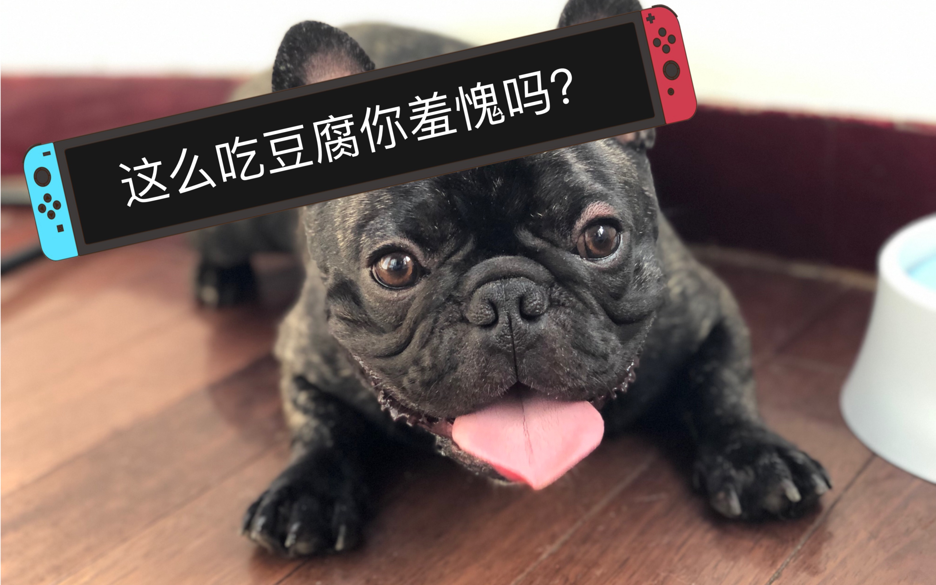 李狗蛋vlog之被粑粑吃豆腐的一天