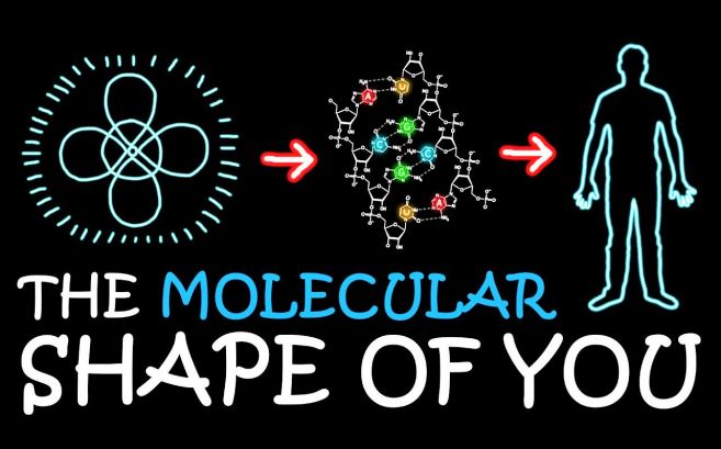 [图]【KeyI】【acapellascience】《你的分子形状 The Molecular Shape of You》英文字幕