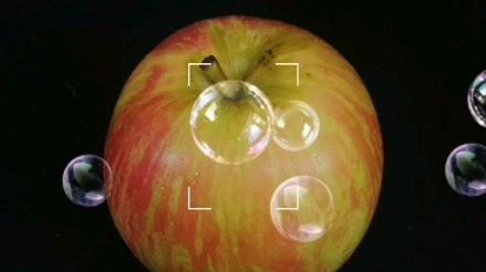 《南非冰糖小苹果》_哔哩哔哩_bilibili