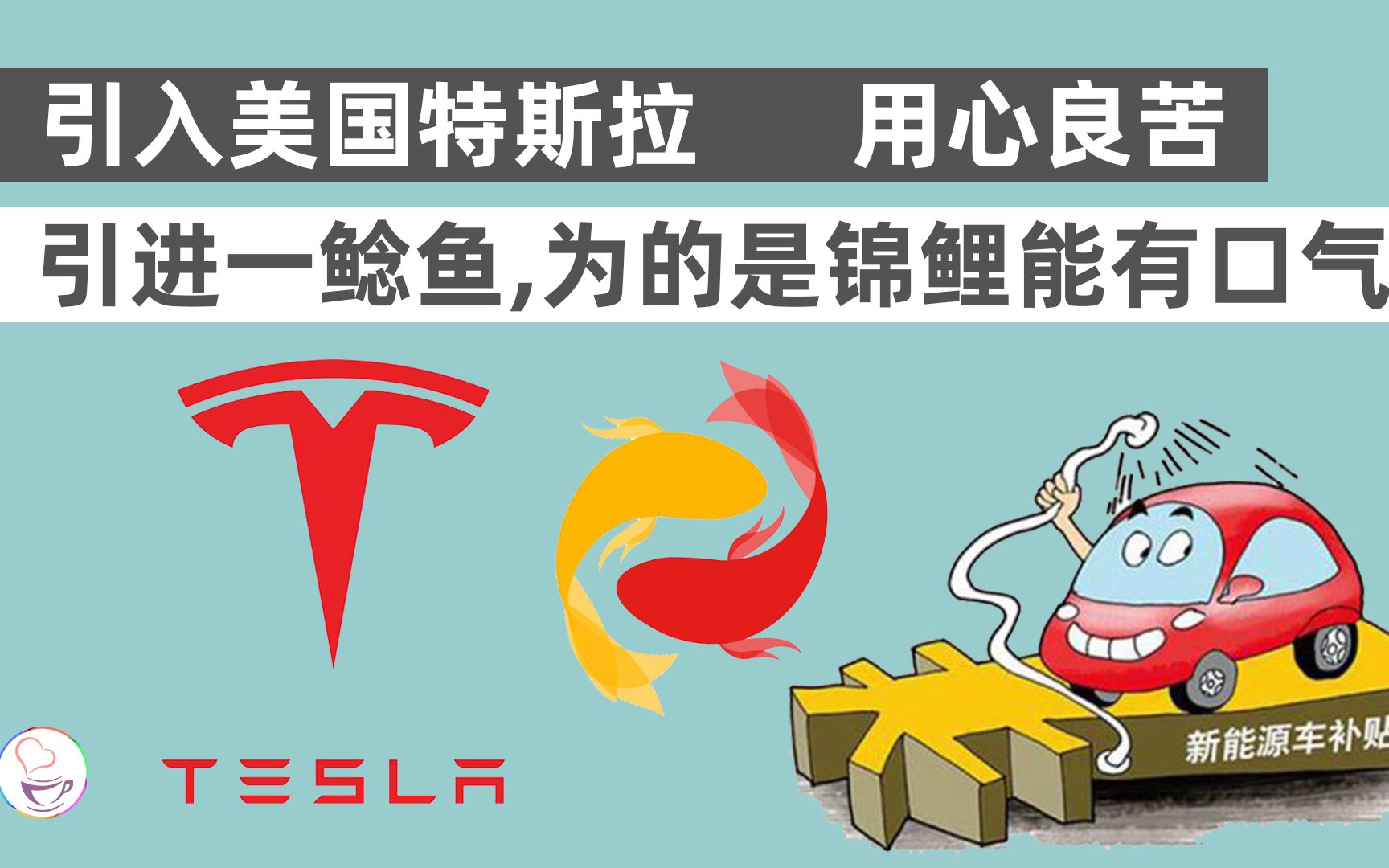 中国特斯拉:引进一条鲶鱼,为不让这些锦鲤挂了.用心良苦!加油