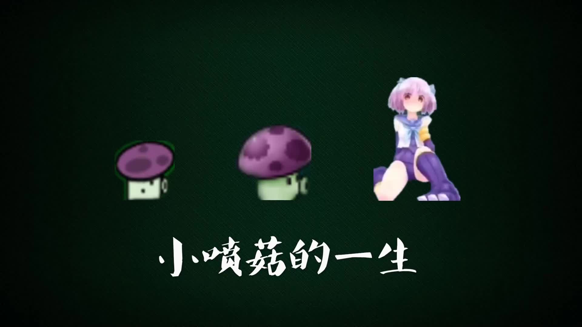 小喷菇的一生,老年变成二次元女生了?万物皆可植物大战僵尸