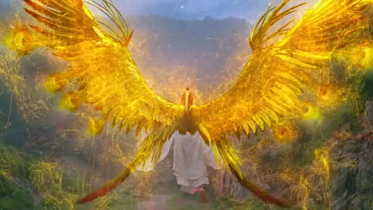 司凤大展金翅!#琉璃##琉璃美人煞