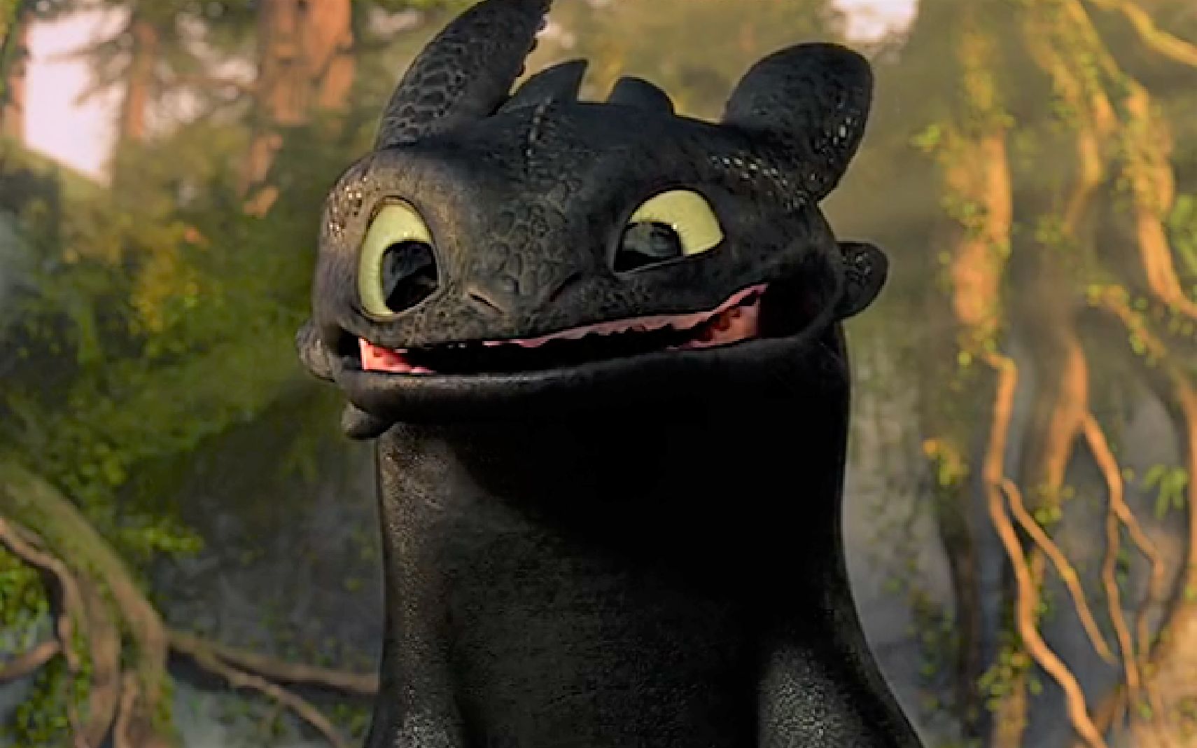 【驯龙高手】无牙仔是猫猫变的证据,我找到了