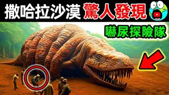 Descargar video: 10个撒哈拉沙漠最可怕的新发现，科学家都无法解释