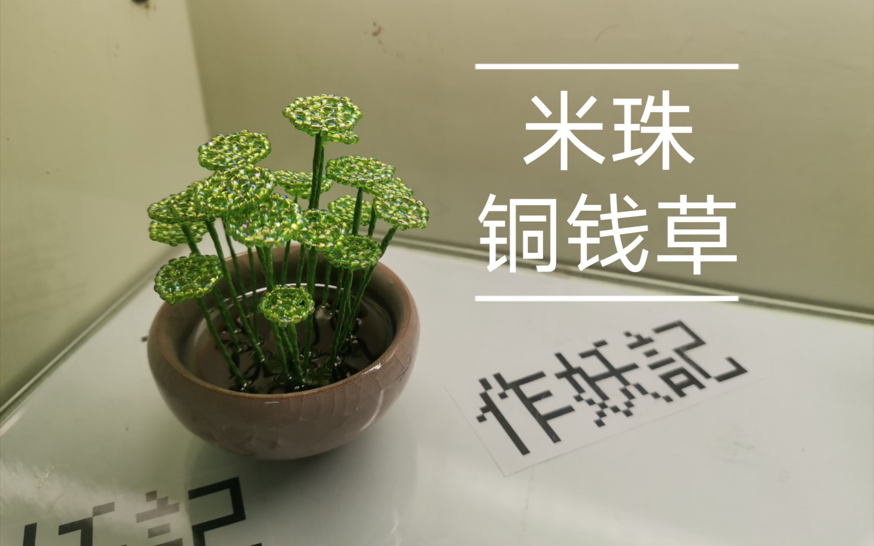 A012【串珠】【辑珠】【珠花】铜钱草、南美天胡荽、钱币草、圆币草、盾叶天胡荽、金钱莲,圆圆滴小盆栽.哔哩哔哩bilibili