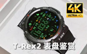 Download Video: 迟来的Amazfit T-Rex2表盘鉴赏，4K画质还原真实质感~