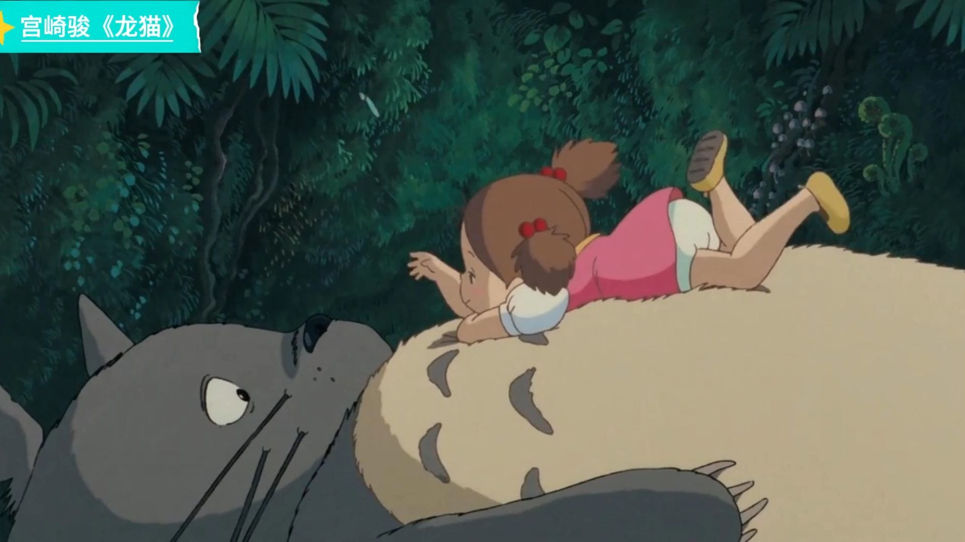 你叫做龙猫呀?治愈小梅,也治愈我们!