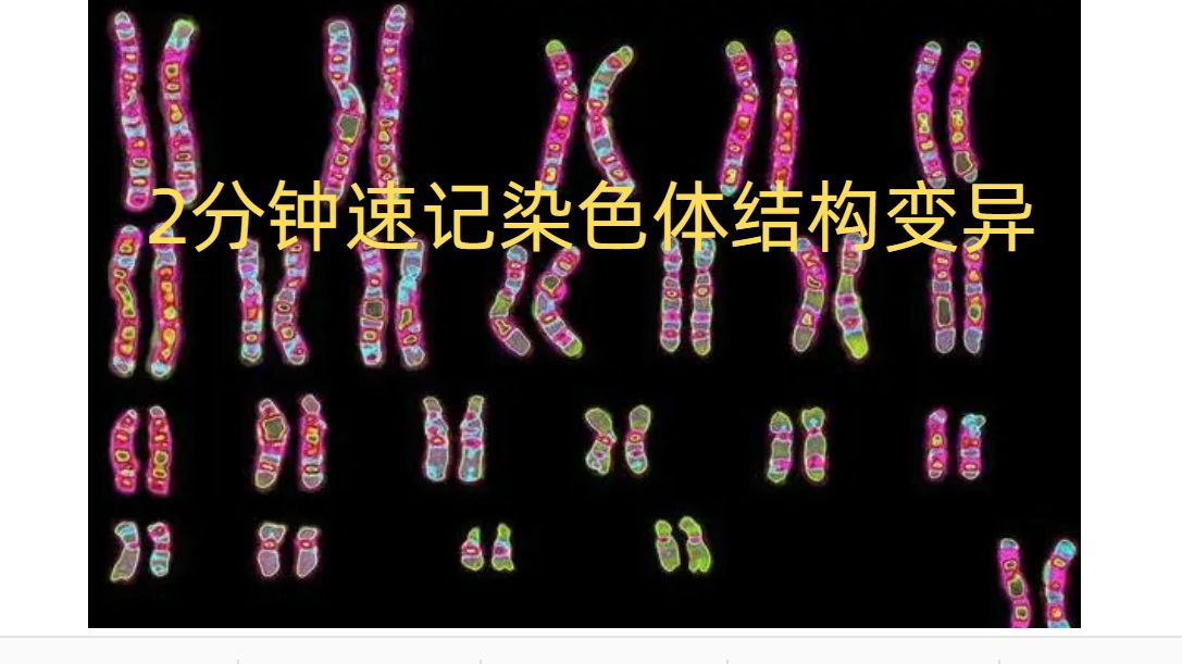 2分钟速记染色体结构变异,就这么快