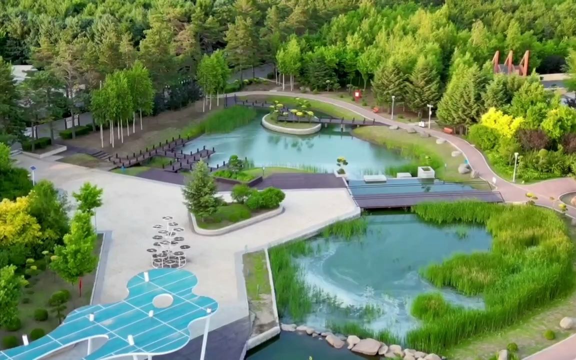 航拍 黑龙江五大莲池广场