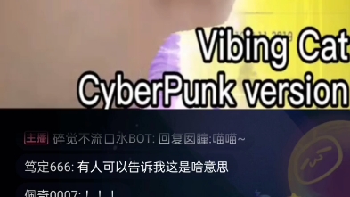 Vibing猫直播彩蛋哔哩哔哩bilibili