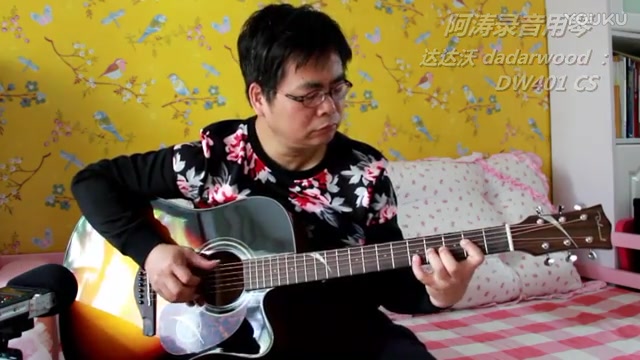 阿涛吉他指弹独奏 向天再借五百年