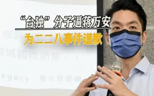 下载视频: 现在又是蒋家人了？二二八纪念日前天，“台独”分子逼蒋万安道歉