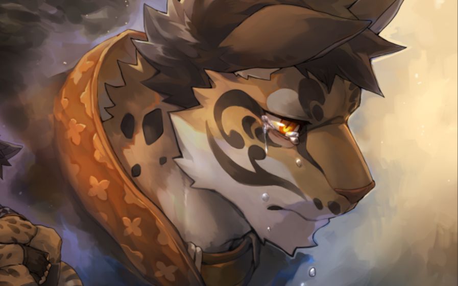 【柯拉实况】《家有大猫》云豹结局·呆呆的你就像我们呆呆的感情④