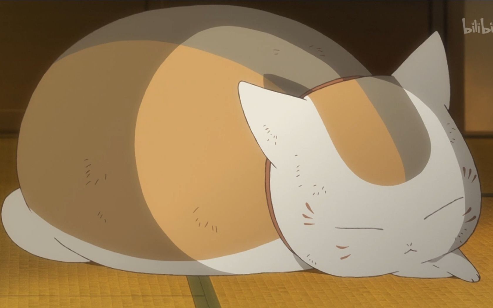  夏目友人帐>第六季日月食篇 猫咪老师,我和你是朋友吗?