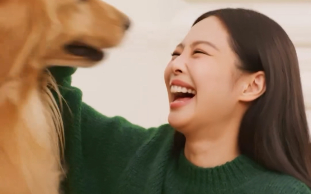 jennie狗狗品种图片