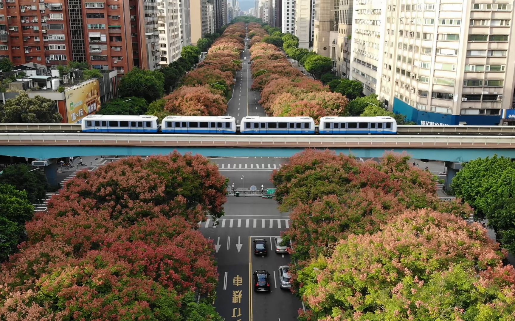 【铁道旅情】入秋了 台北捷运文湖线 敦化南路航拍 | 20191020