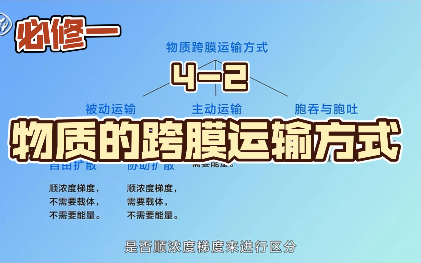 42物质的跨膜运输方式哔哩哔哩bilibili