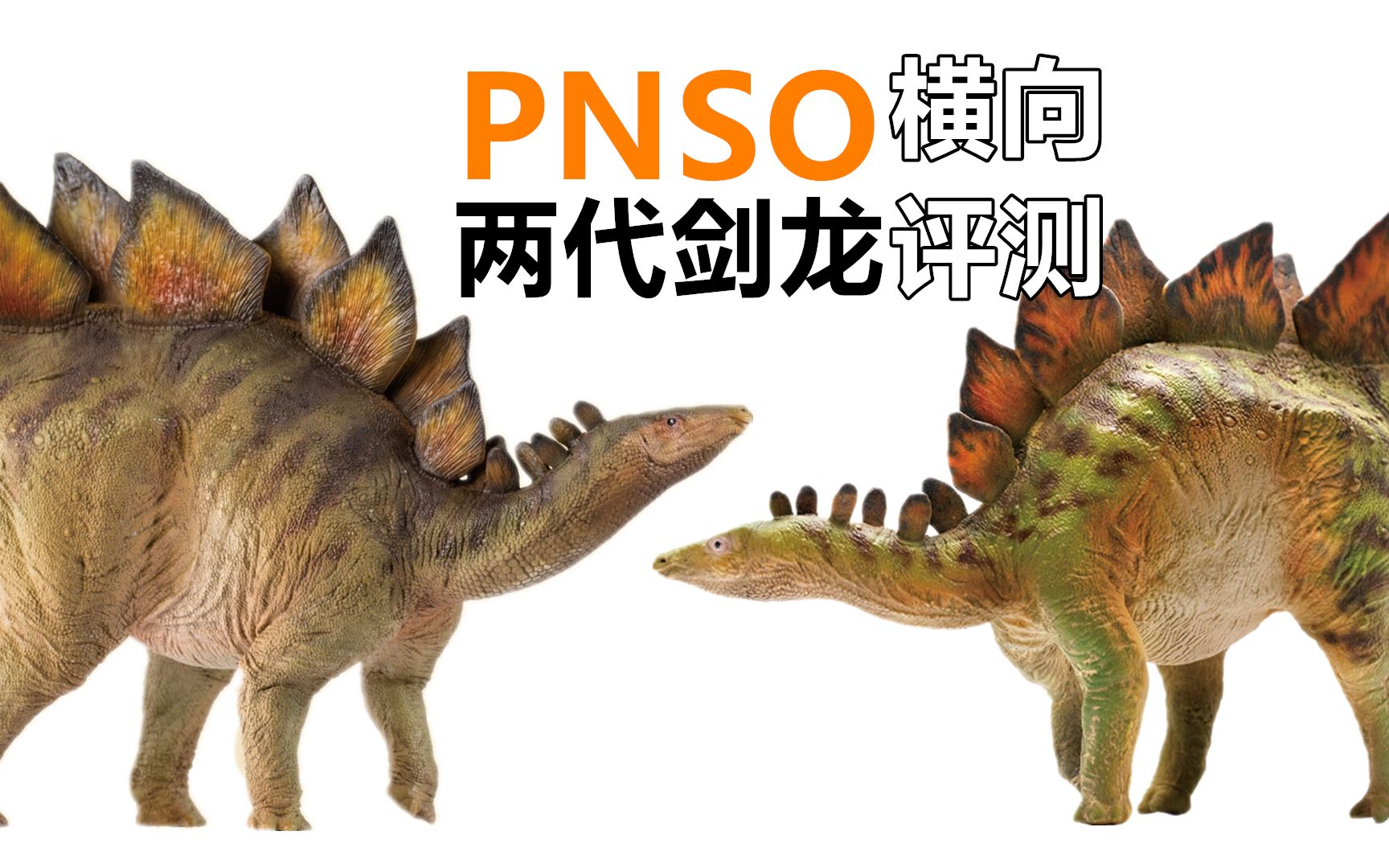 跨越了两年的开箱pnso剑龙比伯1020横向评测