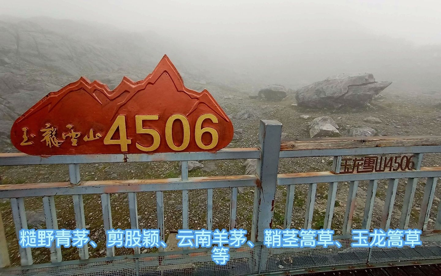 玉龙雪山景区冰川公园游览(1)哔哩哔哩bilibili