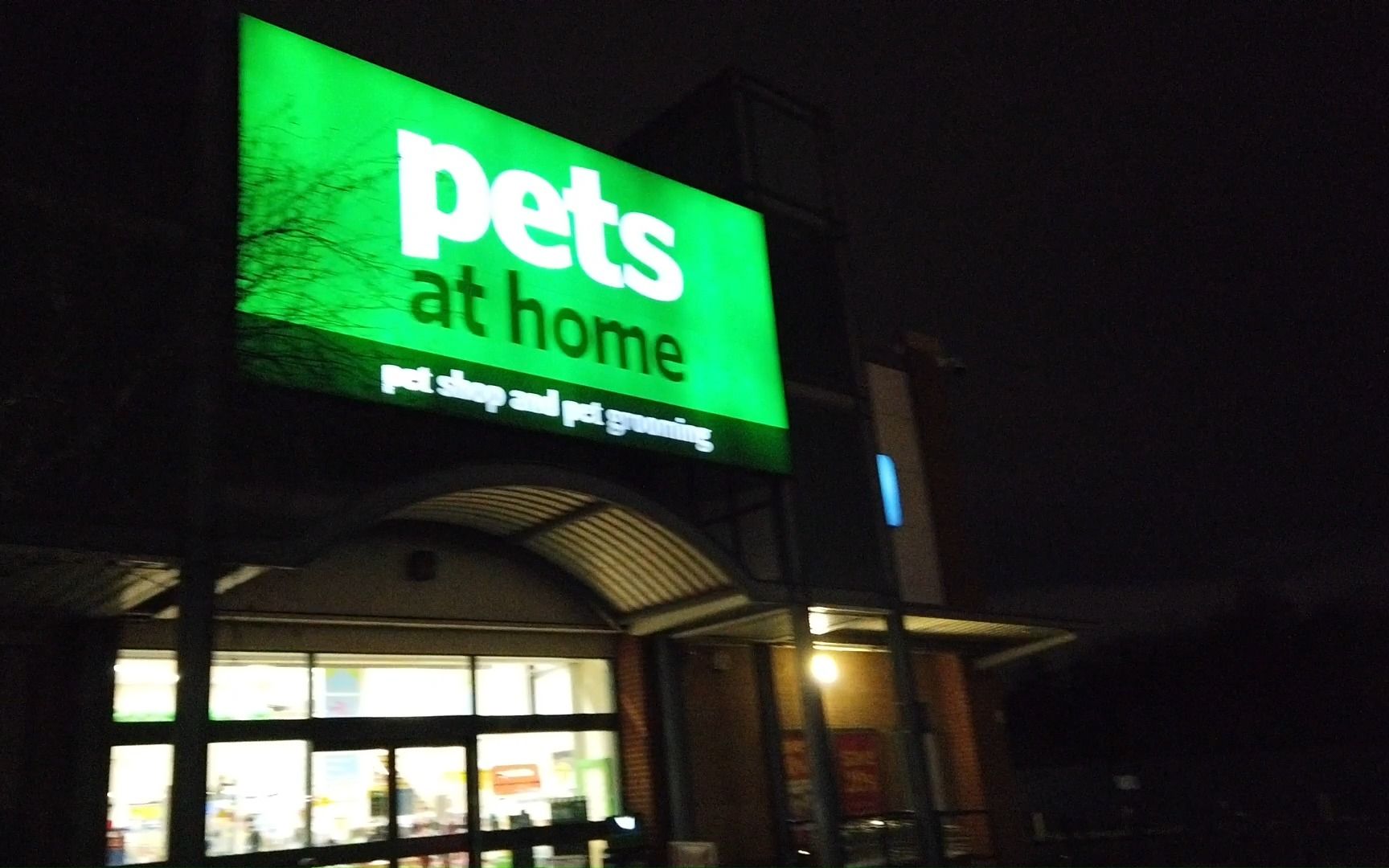 伦敦宠物店一镜到底 London Pets at Home Documentary (背景音乐@Cambridge李劲锋 原创钢琴五部曲《梦回东山坡村》选段)哔哩哔哩bilibili