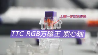 还是紫色有韵味，TTC RGB万磁王紫心轴简单上手