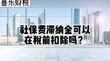 社保费滞纳金可以在税前扣除吗?哔哩哔哩bilibili