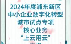 关于开展2024年度浦东新区中小企业数字化转型城市试点专项(核心业务“上云用云”)申报工作的通知哔哩哔哩bilibili