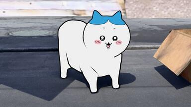 Oiiaioooooiai 小八