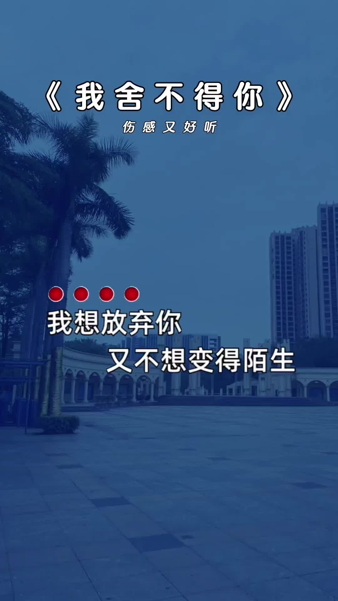 我想放弃你又舍不得你还想多陪你走这一程我舍不得你伤感又好听