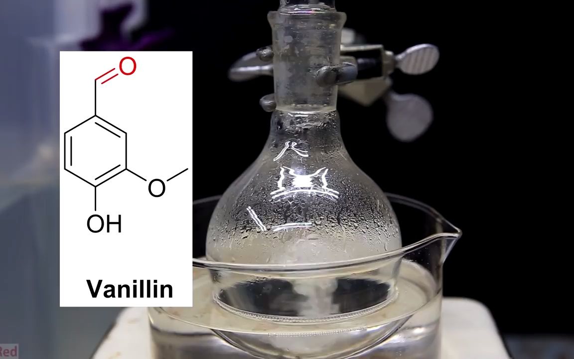 【小实验】制作香草醛肟哔哩哔哩bilibili