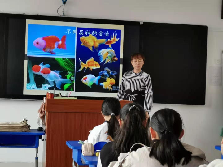 初中生物组内听评课活动哔哩哔哩bilibili