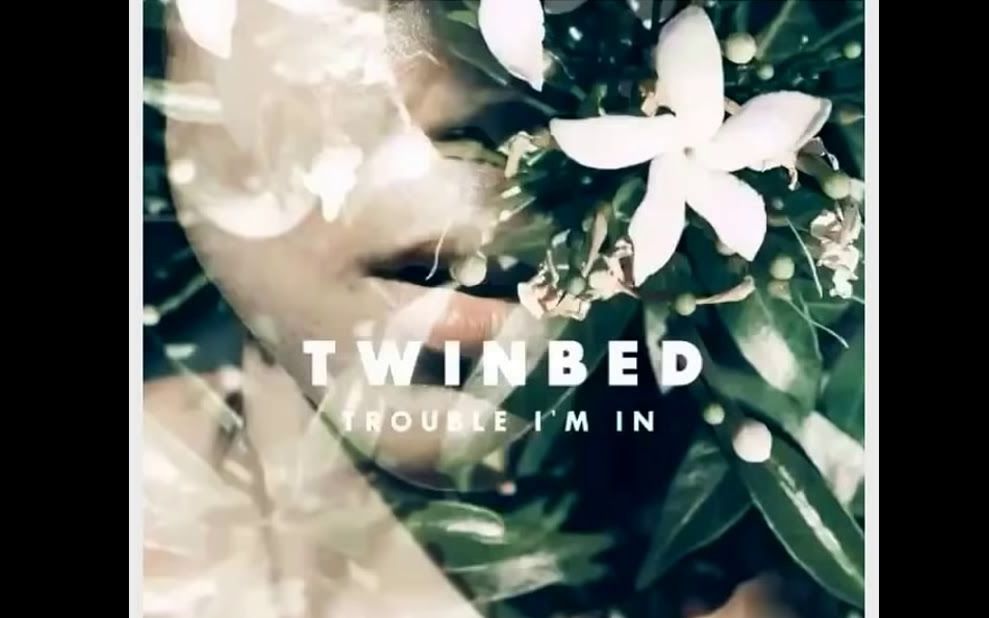 [图]Twinbed – Trouble I'm in