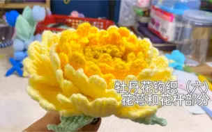 Download Video: 牡丹花钩织教程 （6） 总算把教程做完了，本来我这个是放相框的花花，为了录教程也做了花杆，后面再拆下，台令#阿富汗钩织 的针法钩的好漂亮