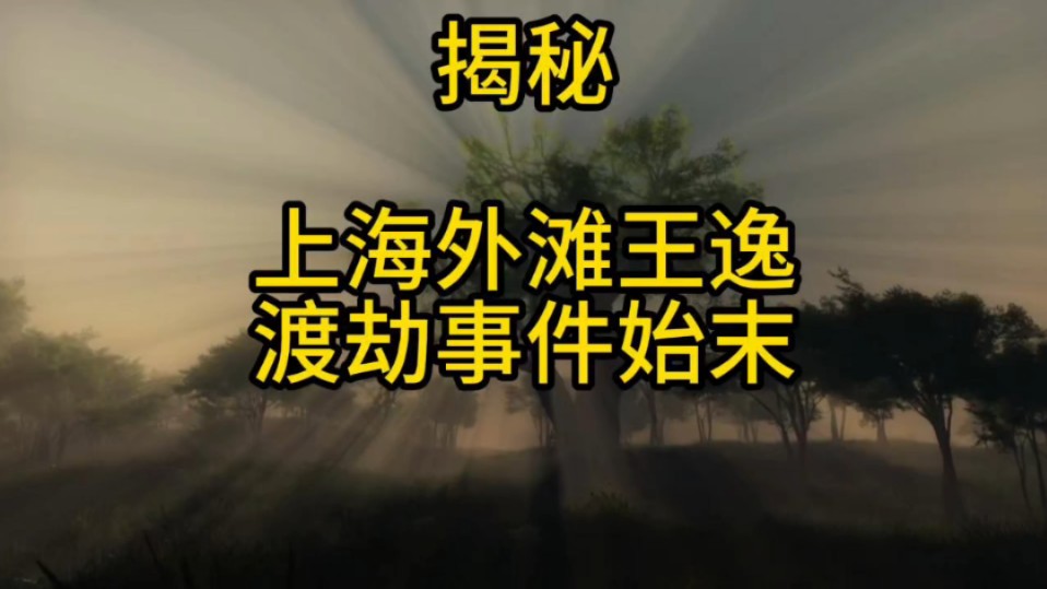 浅谈上海王逸渡劫事件#道教文化#灵异事件#超自然事件#749局哔哩哔哩bilibili