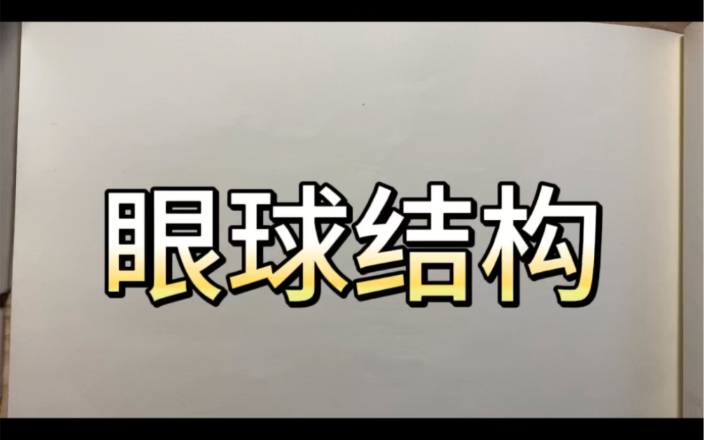 苏教版七下生物 简单介绍眼球结构和视觉形成哔哩哔哩bilibili