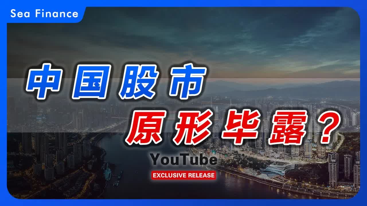 中国股市,原形毕露?哔哩哔哩bilibili