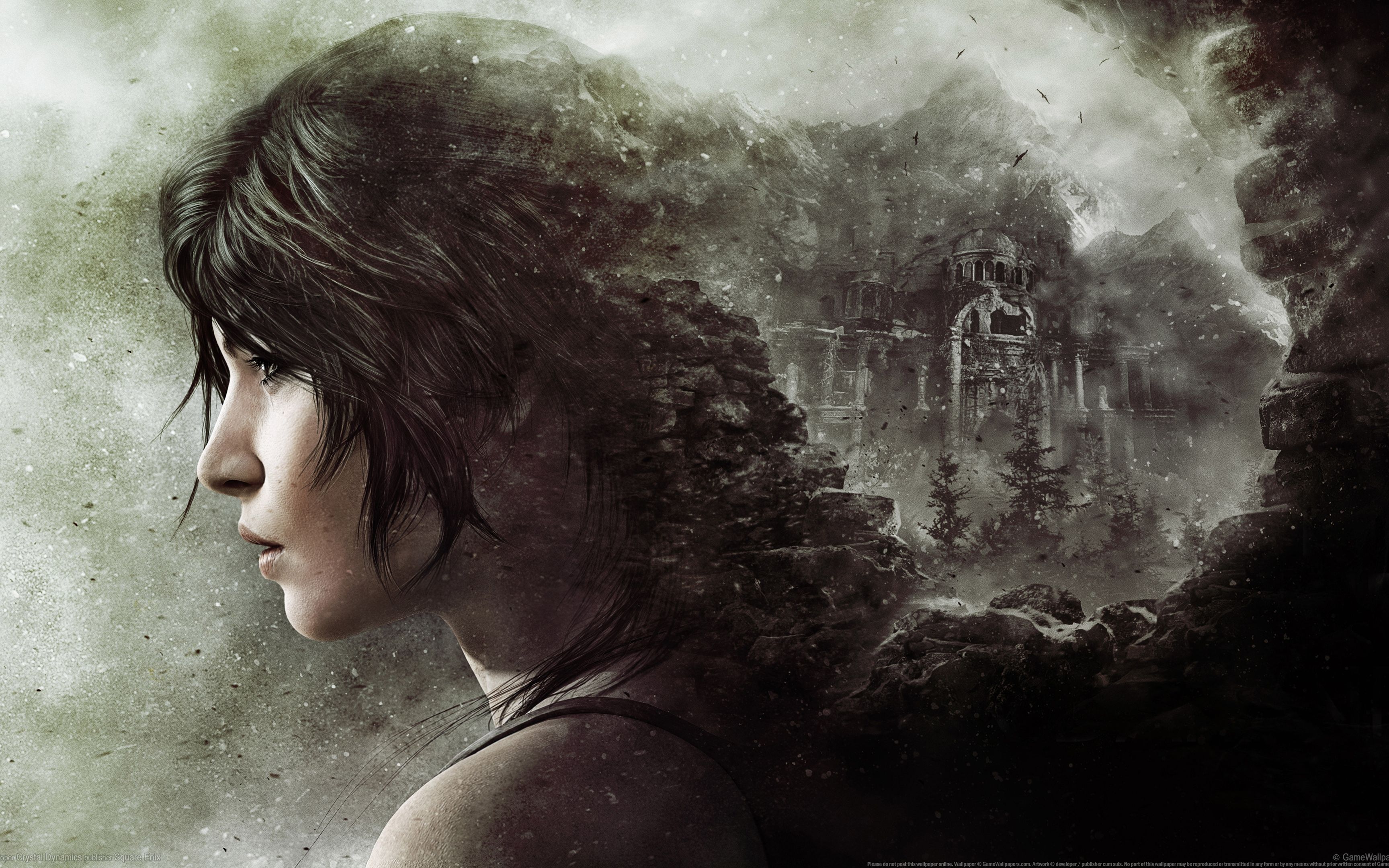 古墓丽影崛起 非主线墓攻略(芭芭哑嘎女巫,不死火,非主线墓合集)